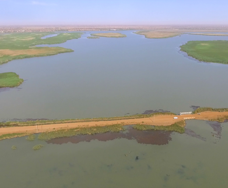 Projet de renforcement de la resilience des écosystemes du Ferlo | Office des lacs et cours d&#039;eau (OLAC)
